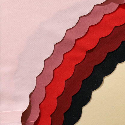 SET PANTY XOEGAN 12 PACK